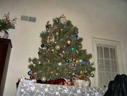 our_first_tree