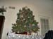 our_first_tree