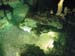 luray_caverns12