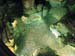 luray_caverns13