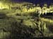 luray_caverns15