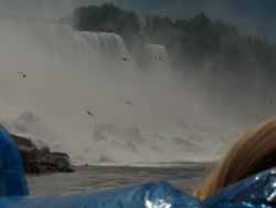 niagara (12)