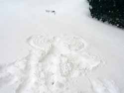 snowangel