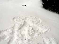 winter