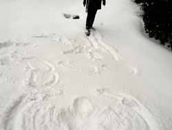 winter (1)