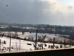 winter (10)