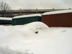 winter (17)