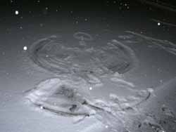 winter (7)