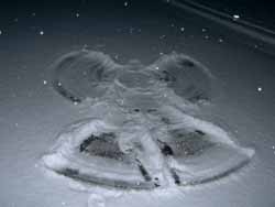 winter (9)